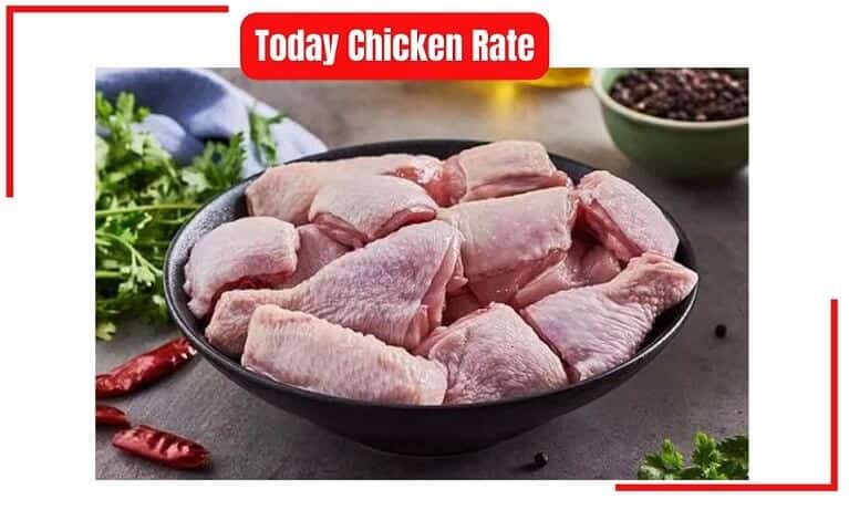 Chicken rate India today