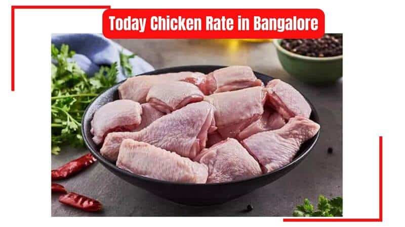 today-chicken-rate-bangalore-may-14-2024