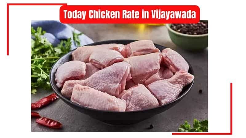 Today-Chicken-Rate-Vijayawada