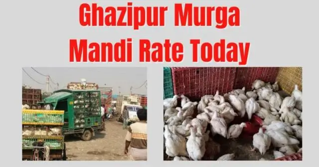 ghazipur murga mandi rate today