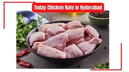 Chicken Price In Hyderabad Details