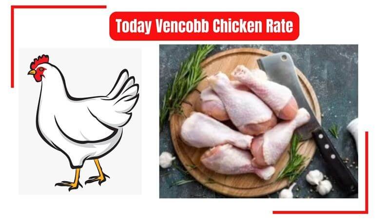 vencobb-chicken-rate-today