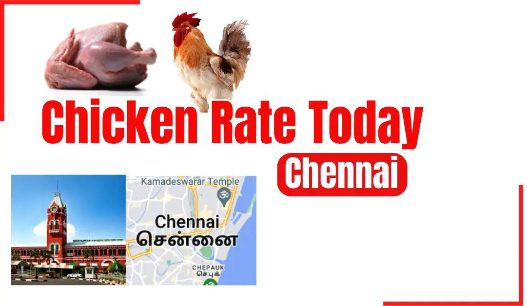 Chicken Rate Today Chennai September 7, 2024