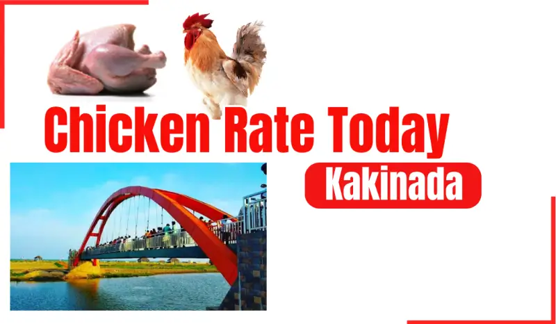 today-chicken-rate-in-kakinada-july-4-2024