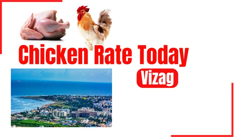 Today Chicken Rate in Vizag