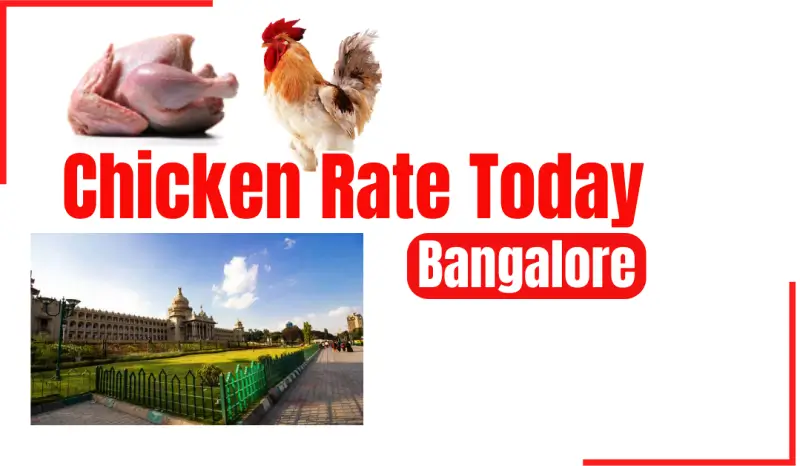 today-chicken-rate-bangalore-may-3-2024